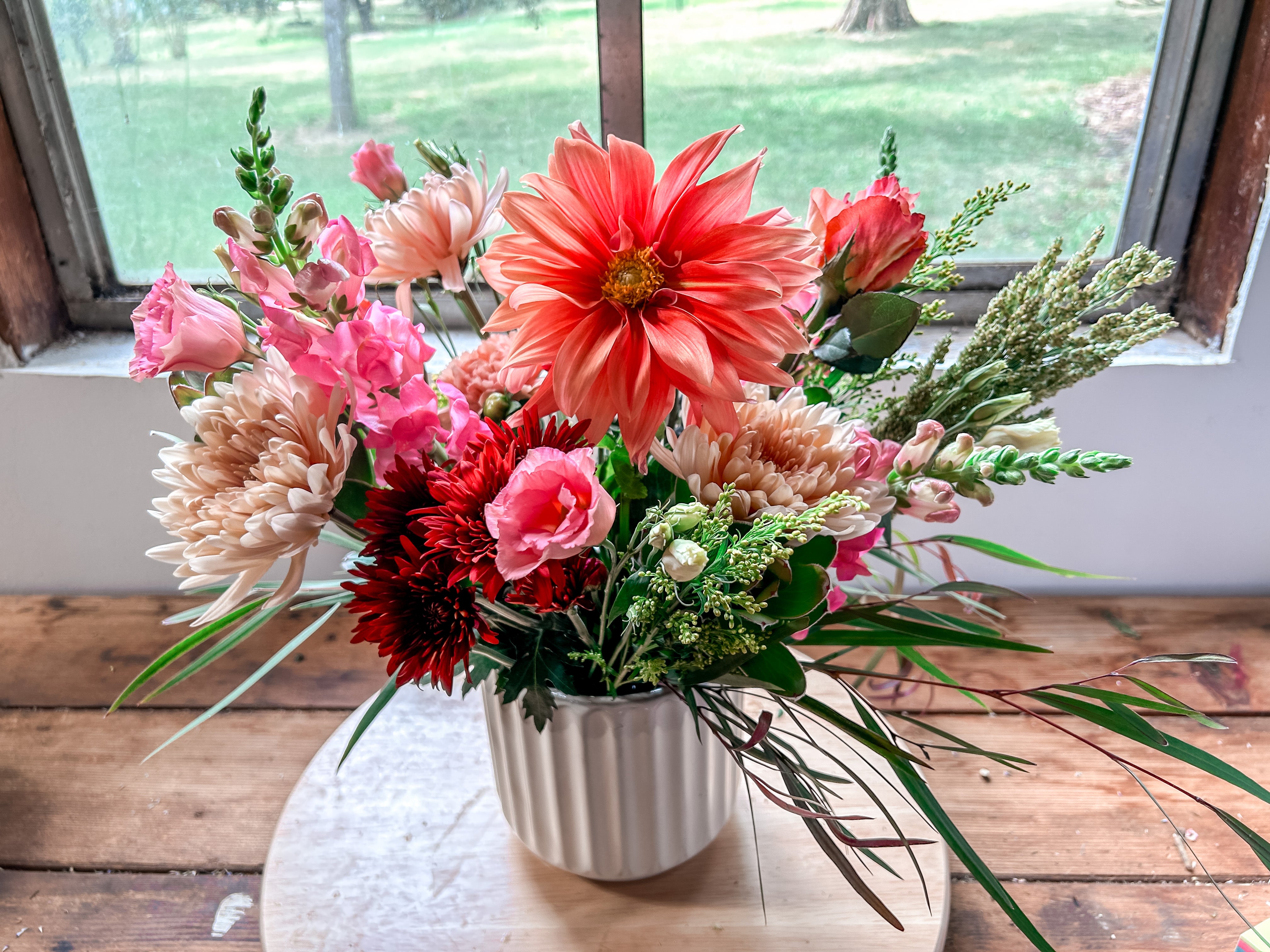 Send Some Love! Daisy Jane’s